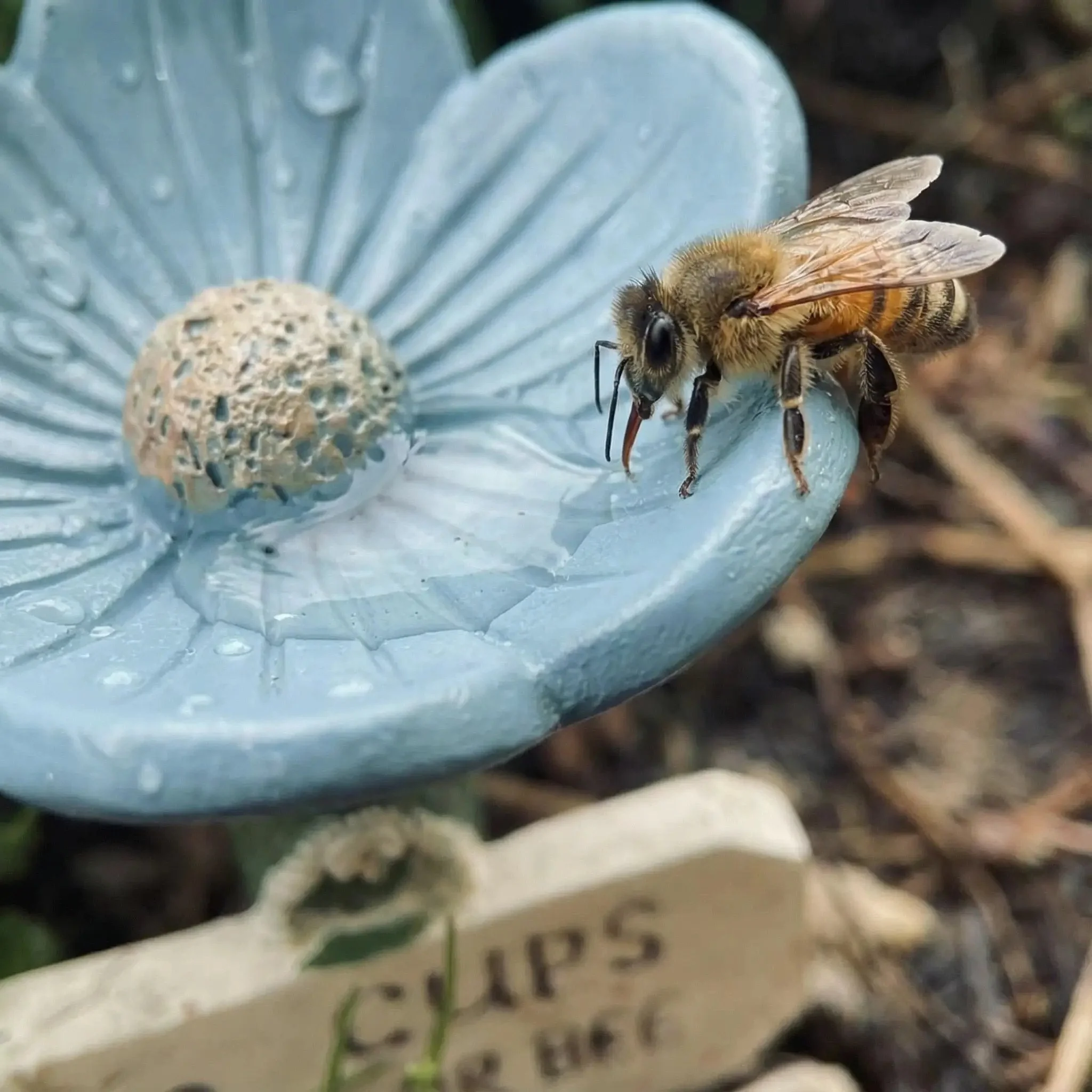 ⏳Limited-time 50% off🐝Flower-Shaped Bee Watering Station💧 - Image 7