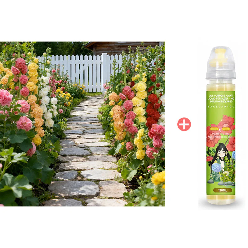 🌸 Multi-season flowering hollyhock seeds🌸100 Seeds - Image 17