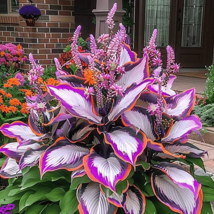 🔥Last day clearance🔥Premium Rare Hosta Seeds🌌Shade-Tolerant Plant - Image 10