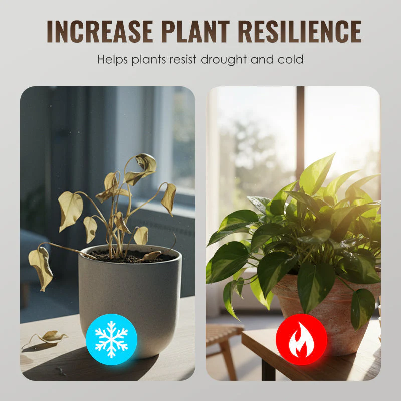 upsell80%🌱 Soil Revitalizer-Root Activator & Soil Improver💪 -Remifa® - Image 6