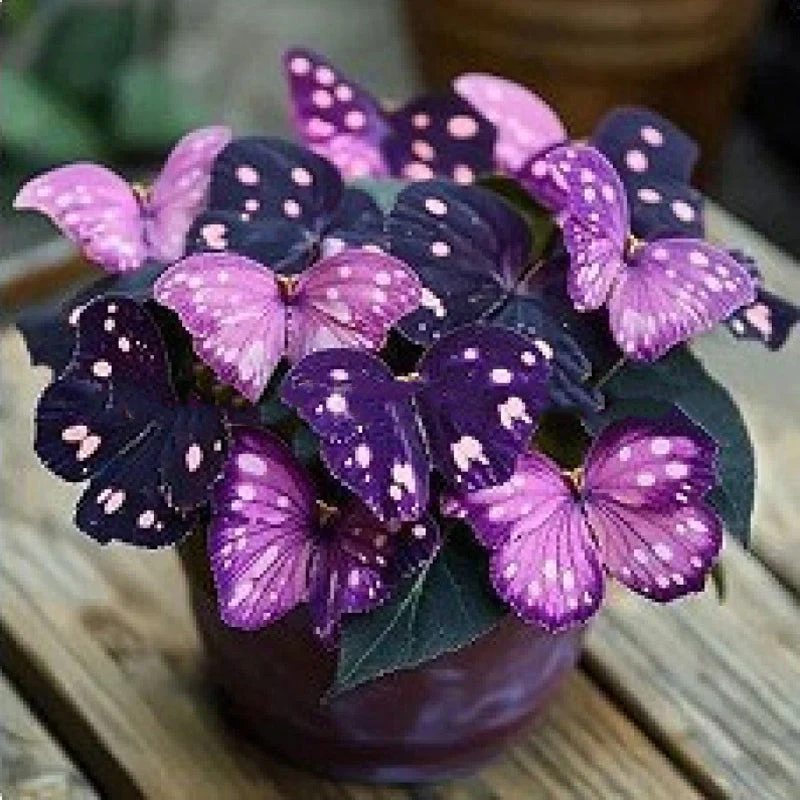 🦋 Whimsical Butterfly Shaped Flower Seeds ✨ - Image 15