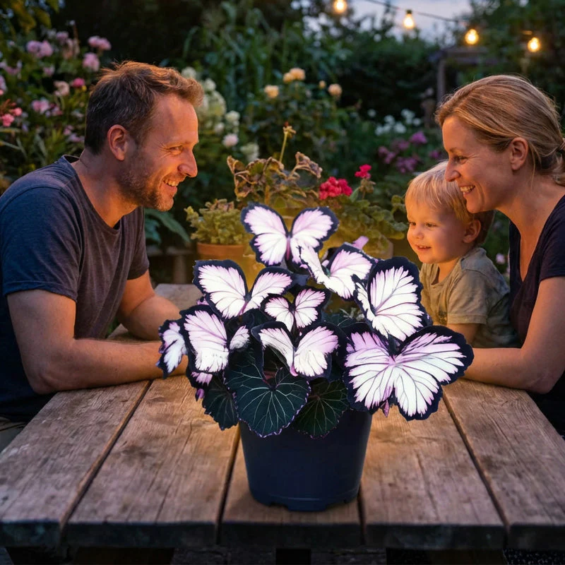 🦋 Whimsical Butterfly Shaped Flower Seeds ✨ - Image 19