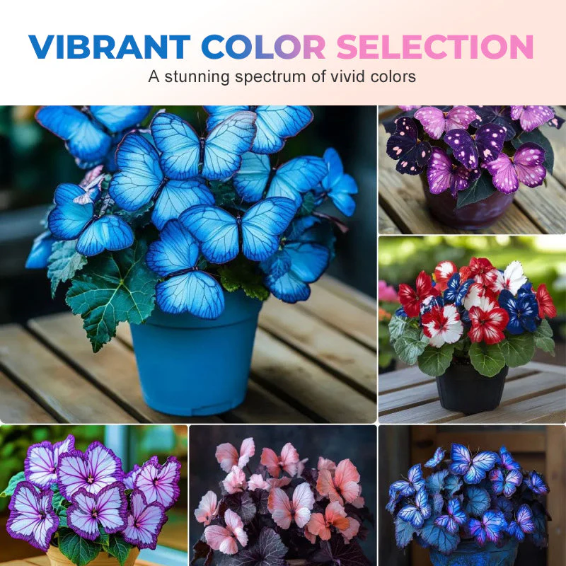 🦋 Whimsical Butterfly Shaped Flower Seeds ✨ - Image 4