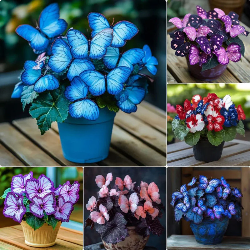 🦋 Whimsical Butterfly Shaped Flower Seeds ✨ - Image 6